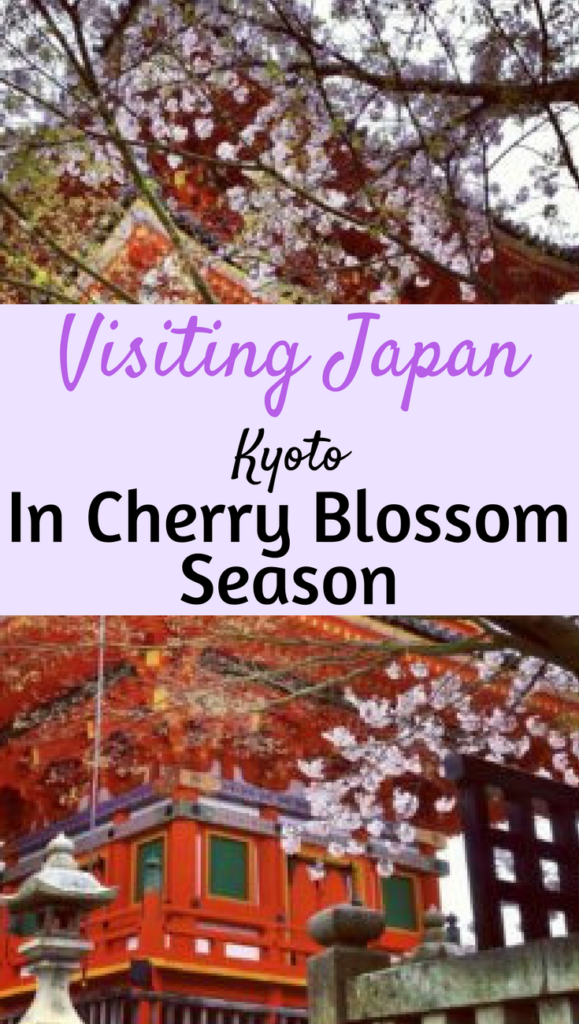 Japan Kyoto Cherry Blossom Season