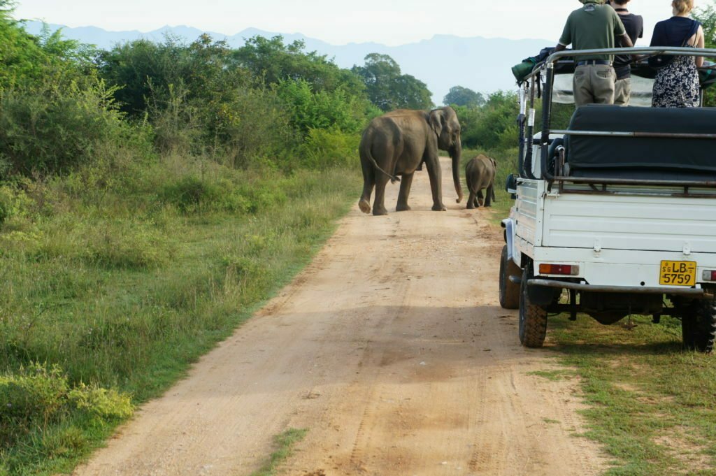 Lebanese Passport Visa-Free Countries 6 Udawalawe National Park