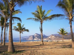 Salalah Oman travel