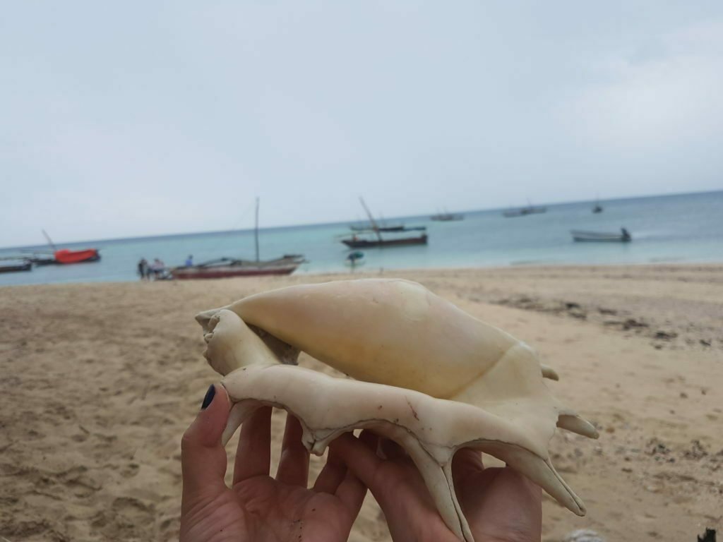 7 Reasons to pack your bags and travel to Zanzibar The Jetsetter Diaries