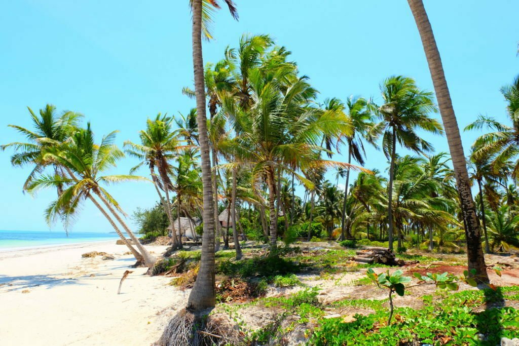 7 Reasons to pack your bags and travel to Zanzibar The Jetsetter Diaries