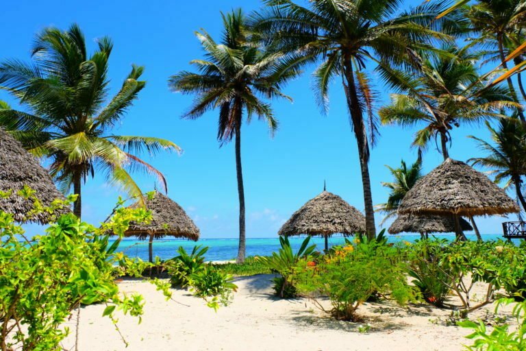 7 Reasons to pack your bags and travel to Zanzibar The Jetsetter Diaries