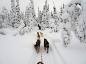 rovaniemi finland winter