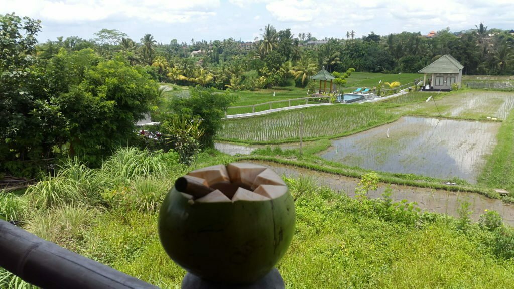 Ubud Rice Fields