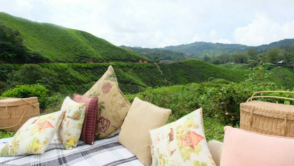 Cameron Highlands Resort Picnic