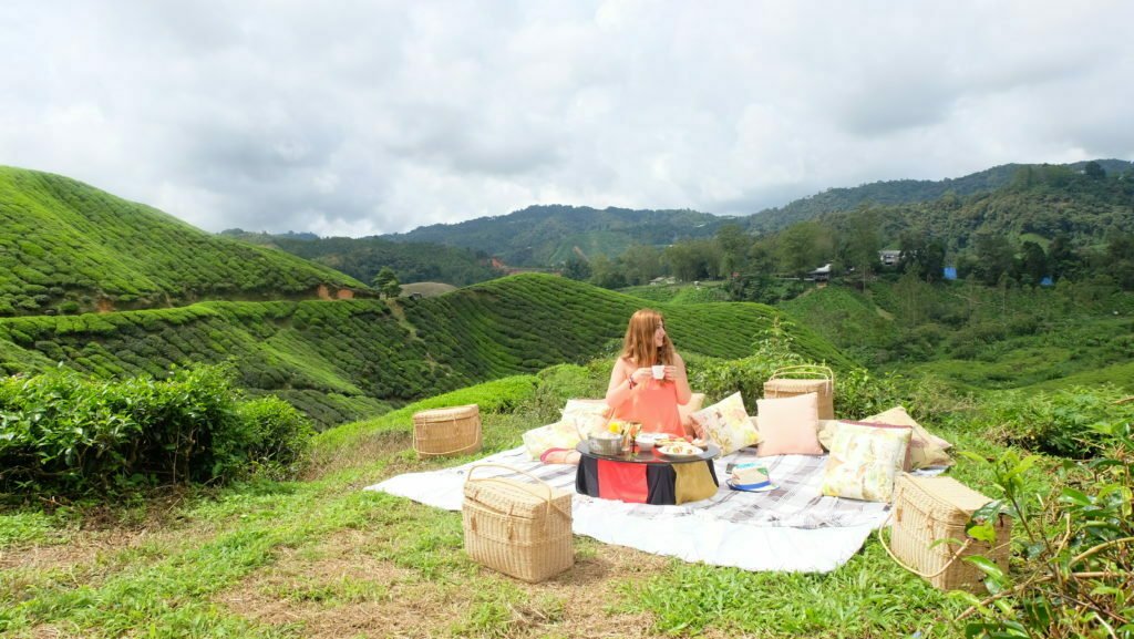 Cameron Highlands Picnic