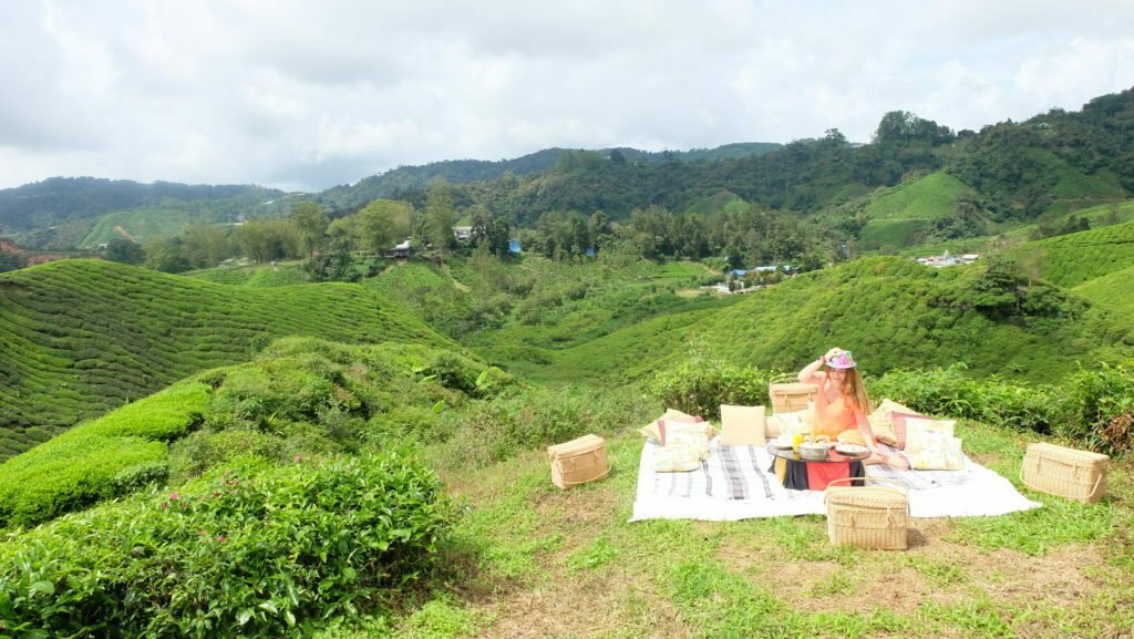 Cameron Highlands Resort Picnic