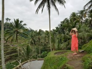 Ubud Bali Travel Guide