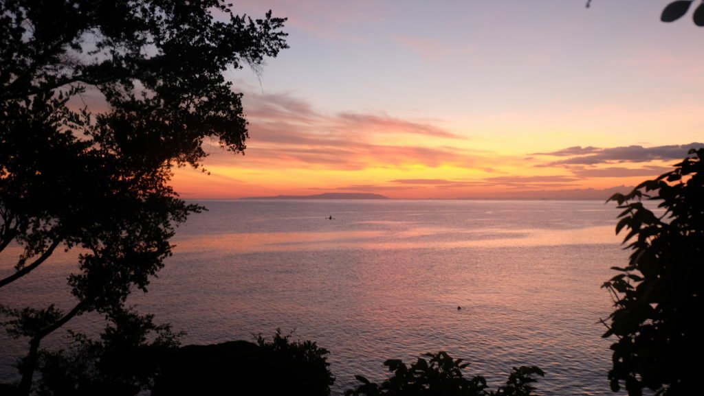 Swimming with Whale Sharks in Cebu, Philippines 17 Sunrise Oslob Cebu