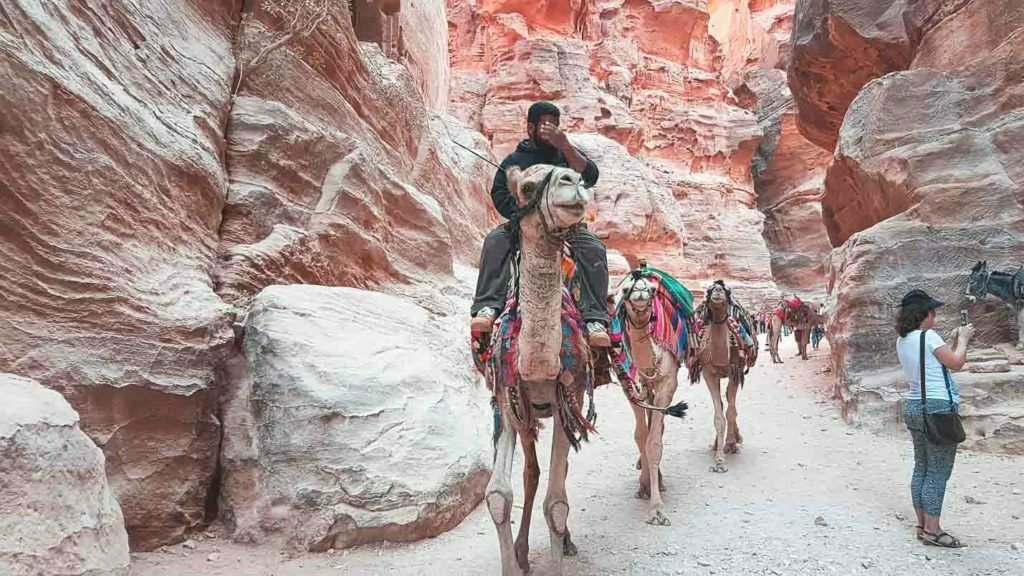 visit petra travel