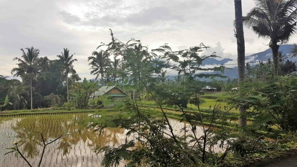 Best Things To Do In North Bali 2 North Bali Travel Guide