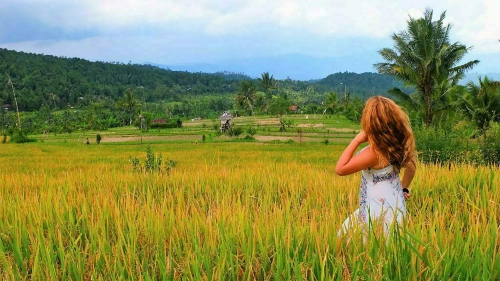 Best Rice Fields Bali