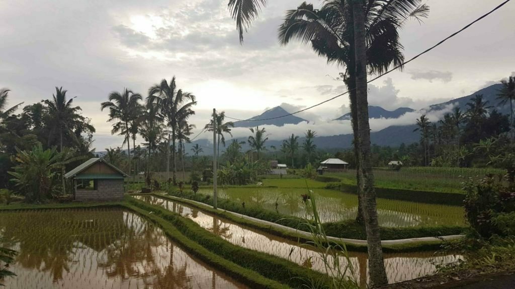 Wie man nach Nord Bali kommt