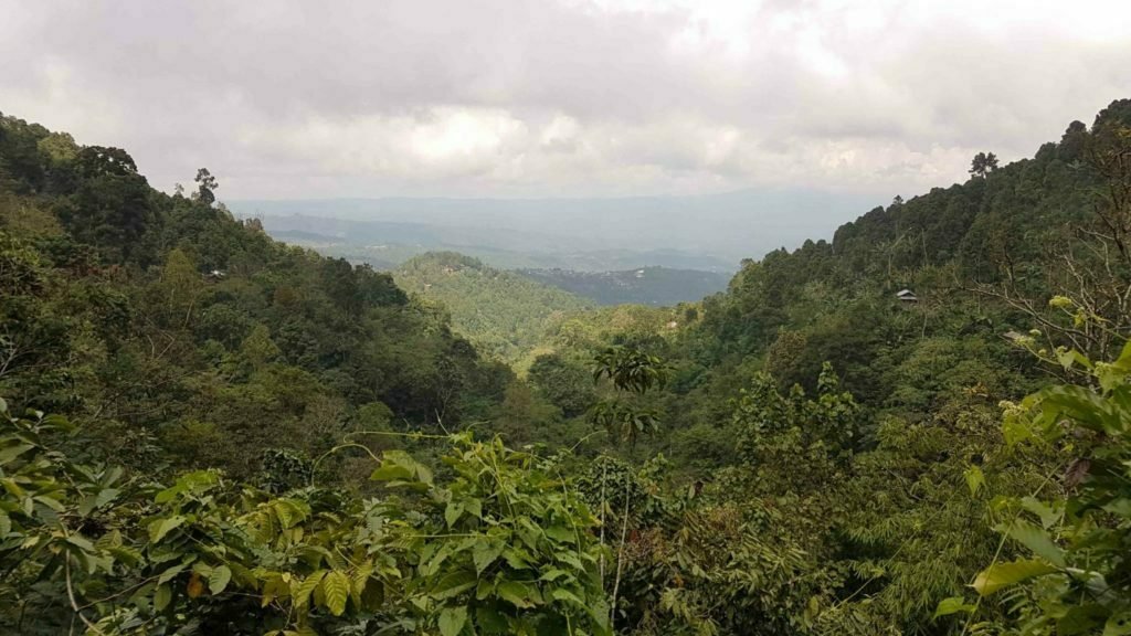Best Things To Do In North Bali 8 North Bali