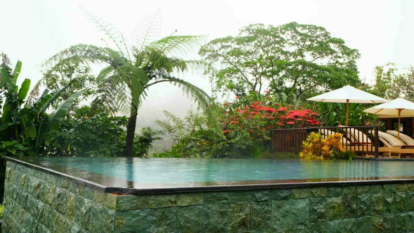 Best Hotels In Bali With Stunning Views | The Jetsetter Diaries