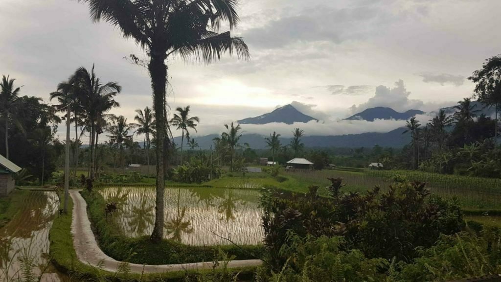 Best Things To Do In North Bali 1 North Bali Travel Guide