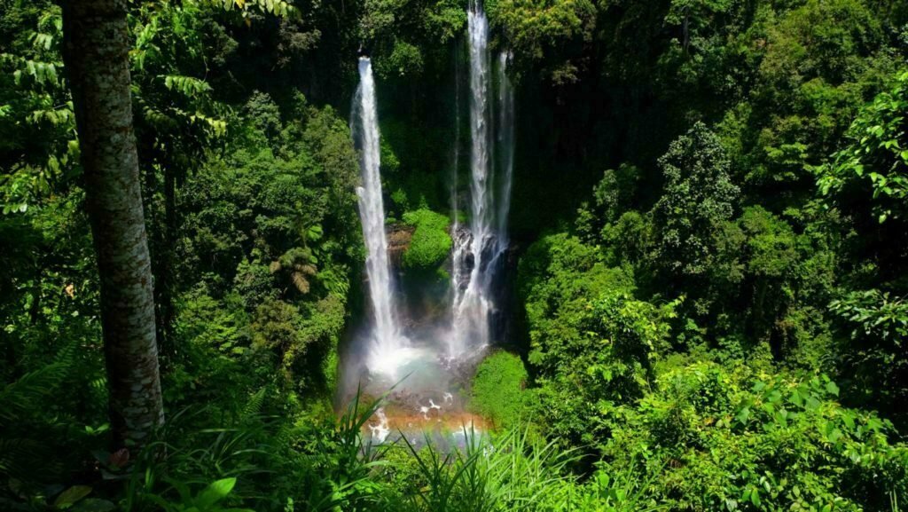 Sekumpul Waterfall