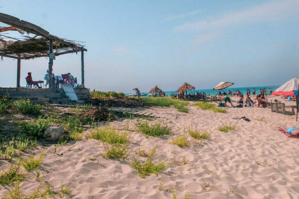 Rabbit Island Lebanon: A Guide To Palm Island Nature Reserve In Tripoli 3 Palm Island Nature Reserve