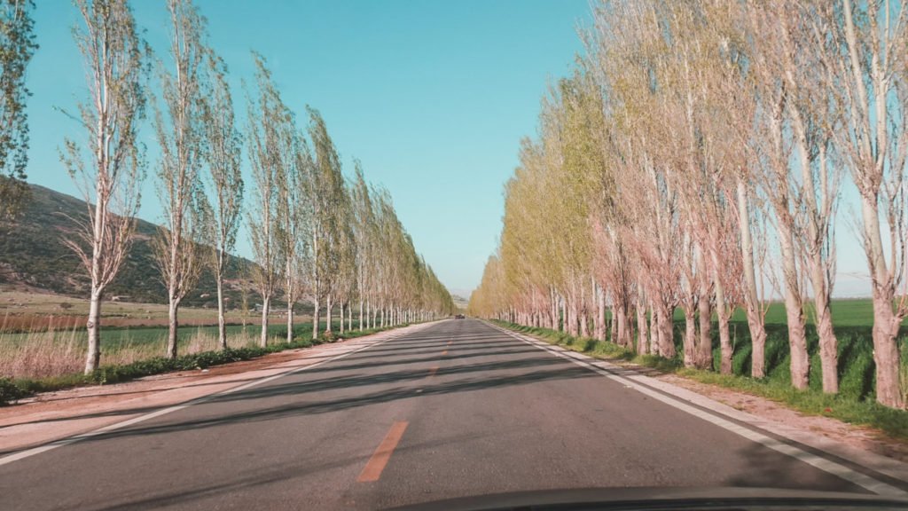 Bekaa Valley Lebanon