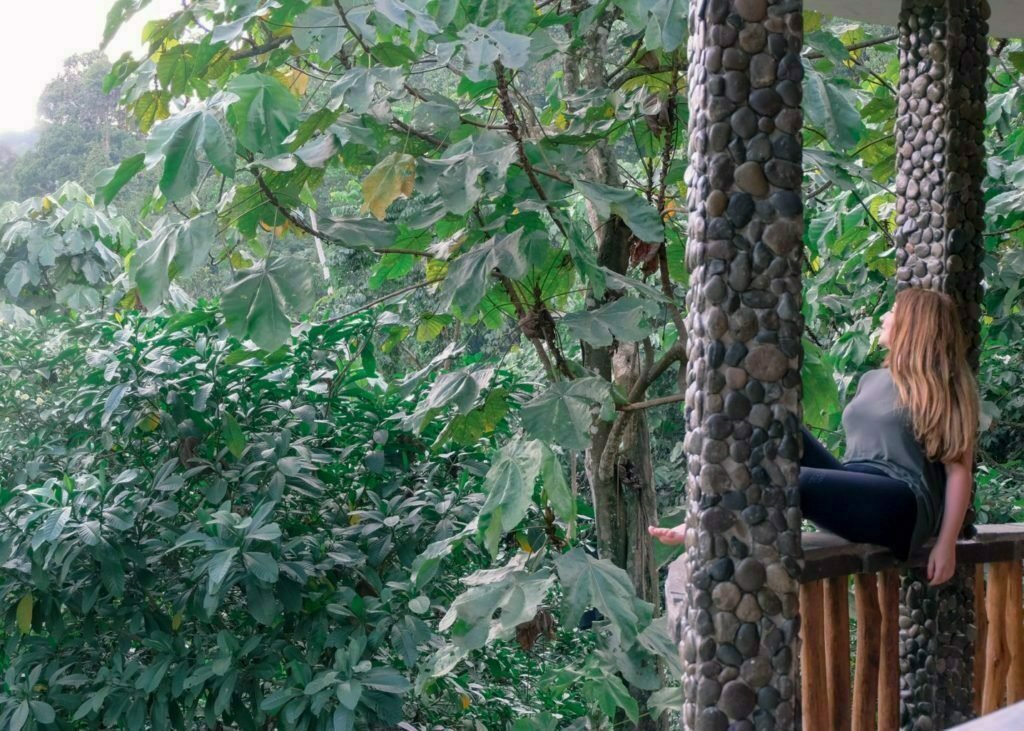 Orangutans in Sumatra Indonesia: Guide To Seeing Endangered Orangutans in The Wild 6 Hotel Orangutan Bukit Lawang
