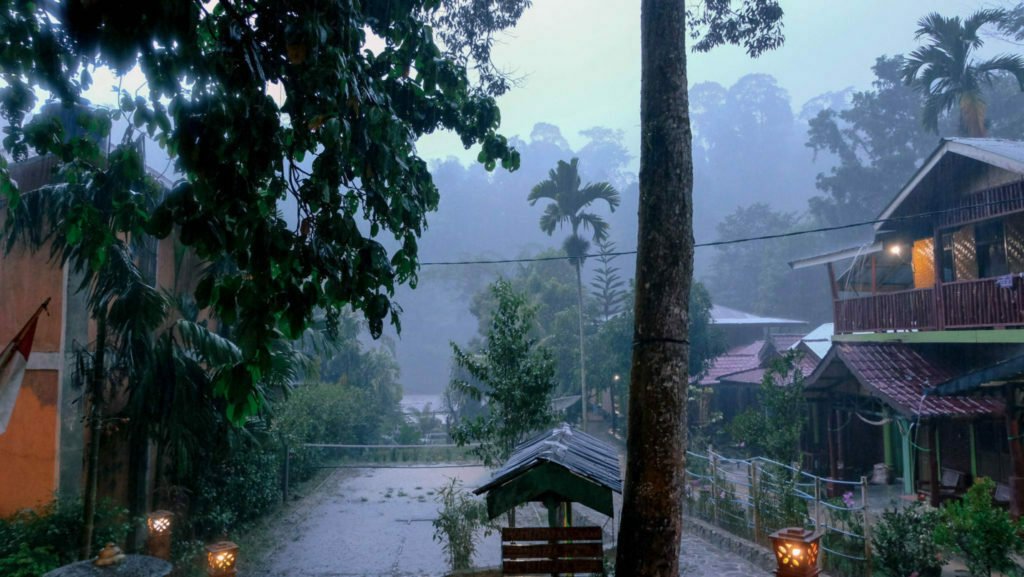 North Sumatra Bukit Lawang