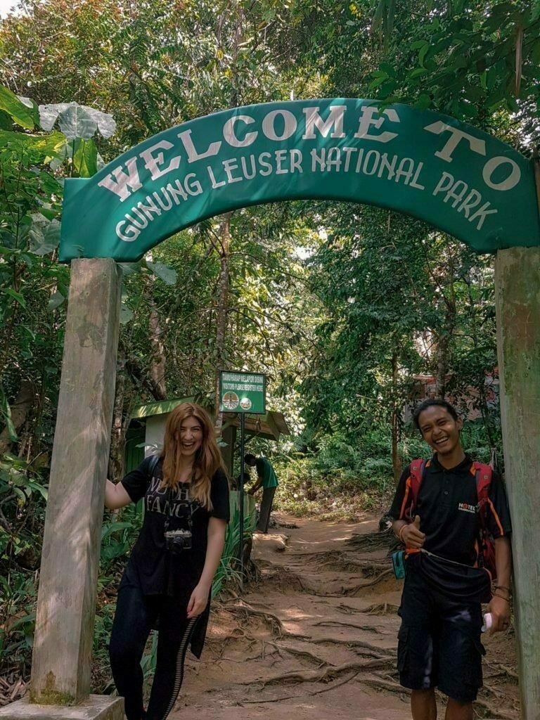 Orangutan Tour Bukit Lawang