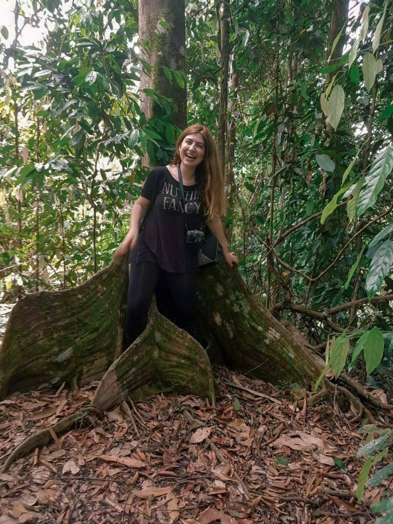 Orangutans in Sumatra Indonesia: Guide To Seeing Endangered Orangutans in The Wild 34 Sumatra Jungle