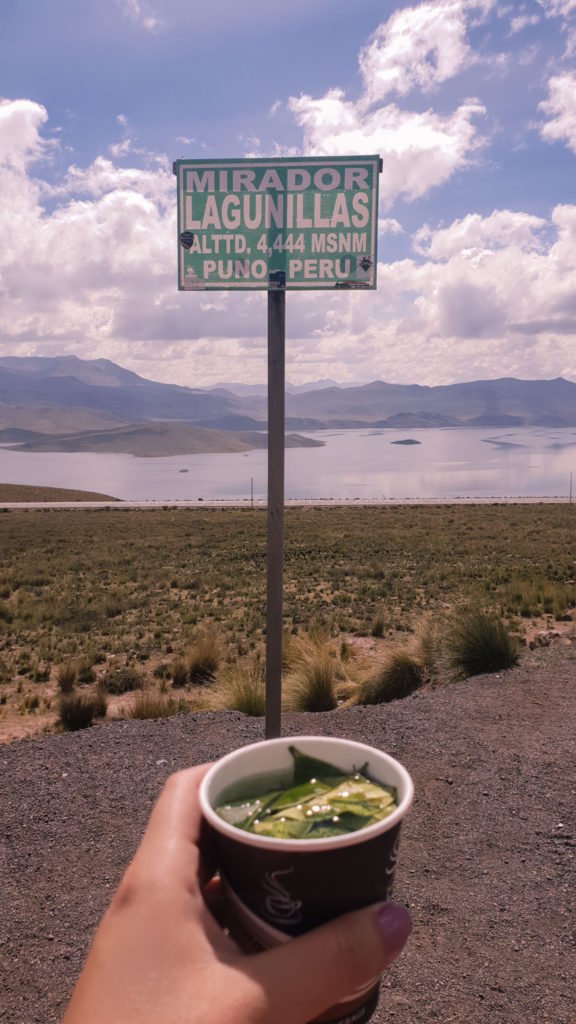 Peru & Bolivia By Bus With Peru Hop 19 Peru Altitude Sickness