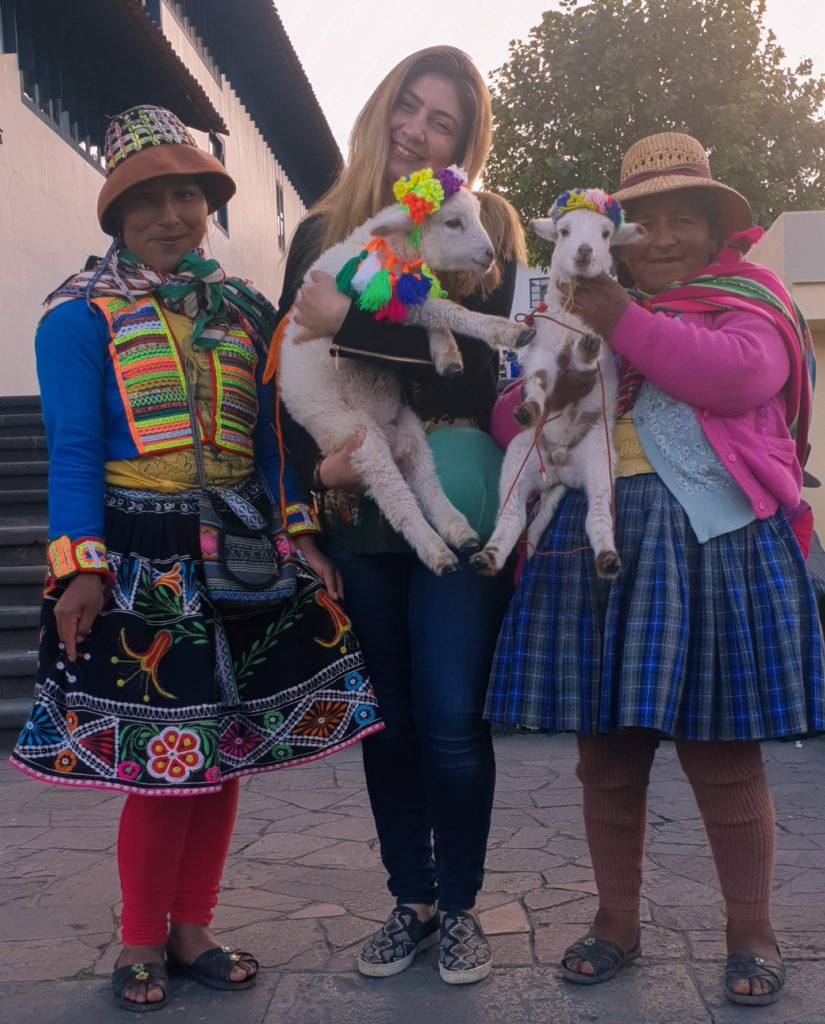 Peru & Bolivia By Bus With Peru Hop 35 Alpacas Cusco
