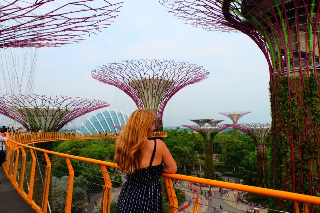 gardens by the bay Singapore