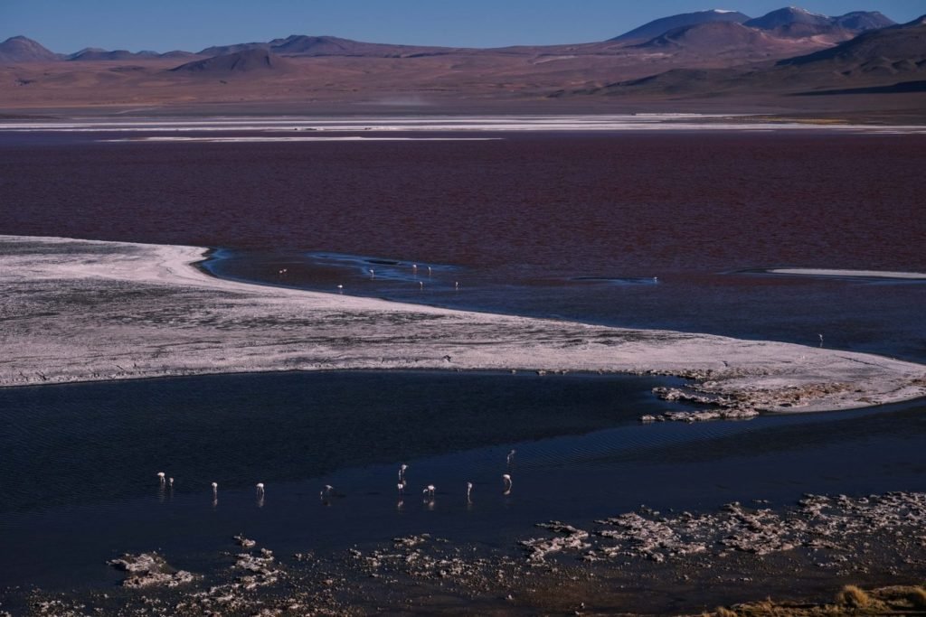 Laguna Colorada Boliviac
