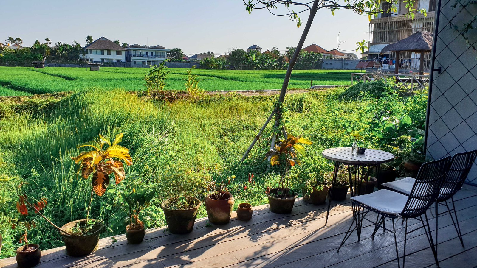 30 Best Canggu Cafes ULTIMATE Canggu Cafe Guide Bali The Jetsetter