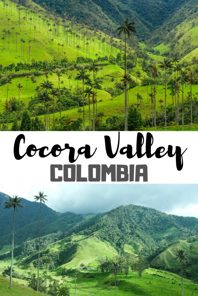 Cocora Valley Colombia