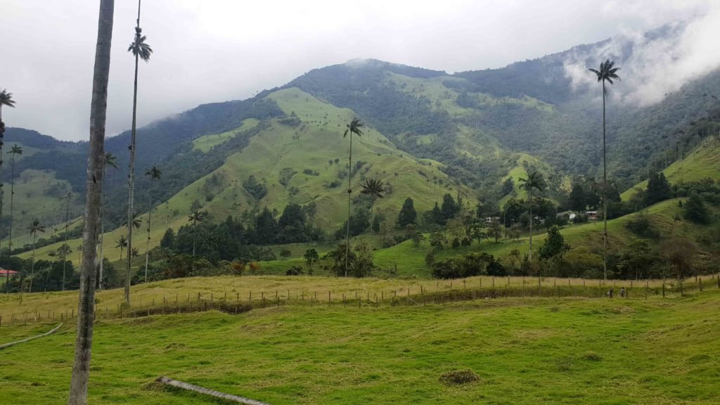 Where is Cocora Valley Colombia