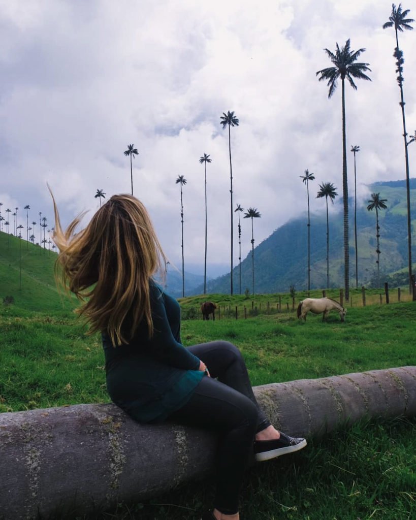 Hike Cocora Valley 