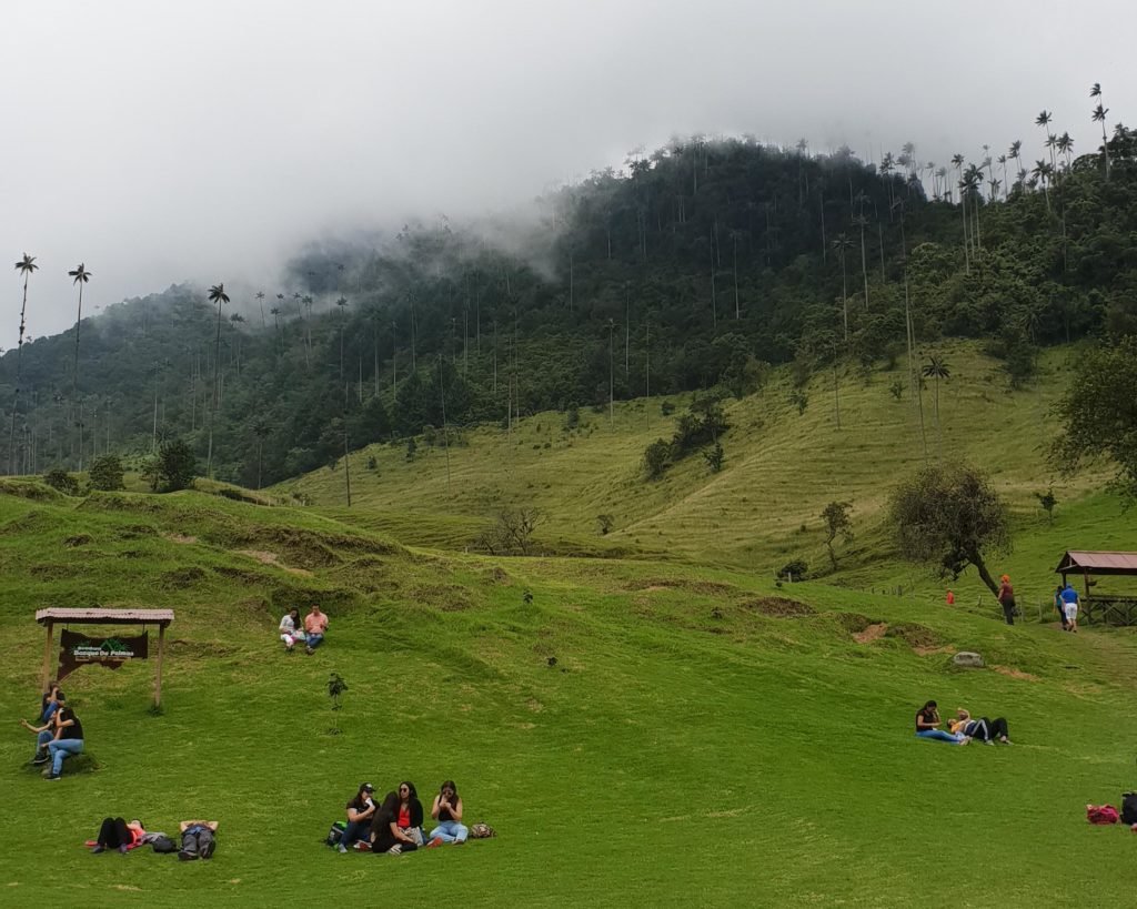 Valle Del Cocora Colombia