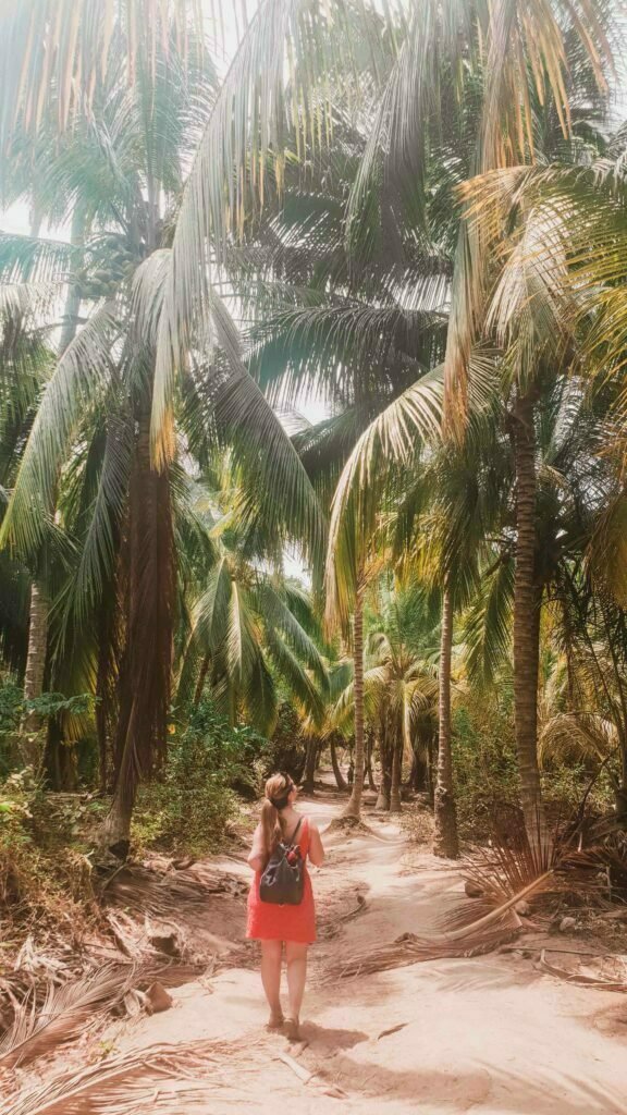 Best Places to Visit in Colombia - Travel Guide 17 Tayrona Park Colombia