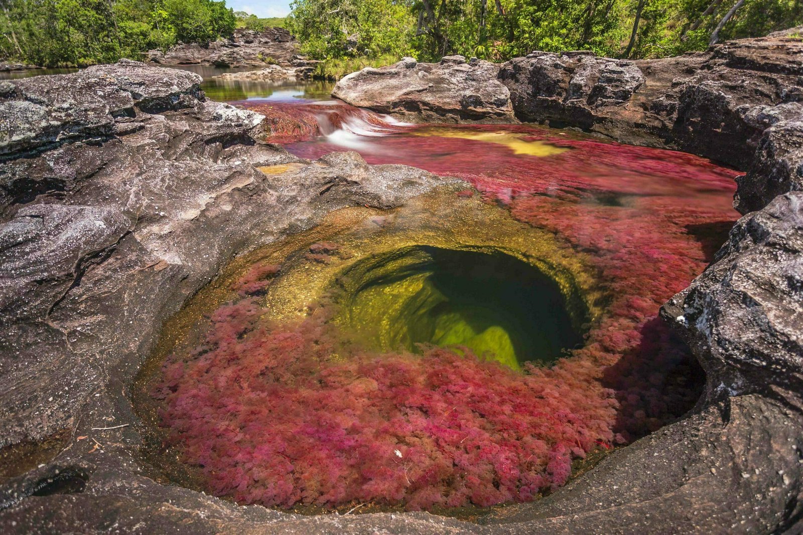 Caño Cristales