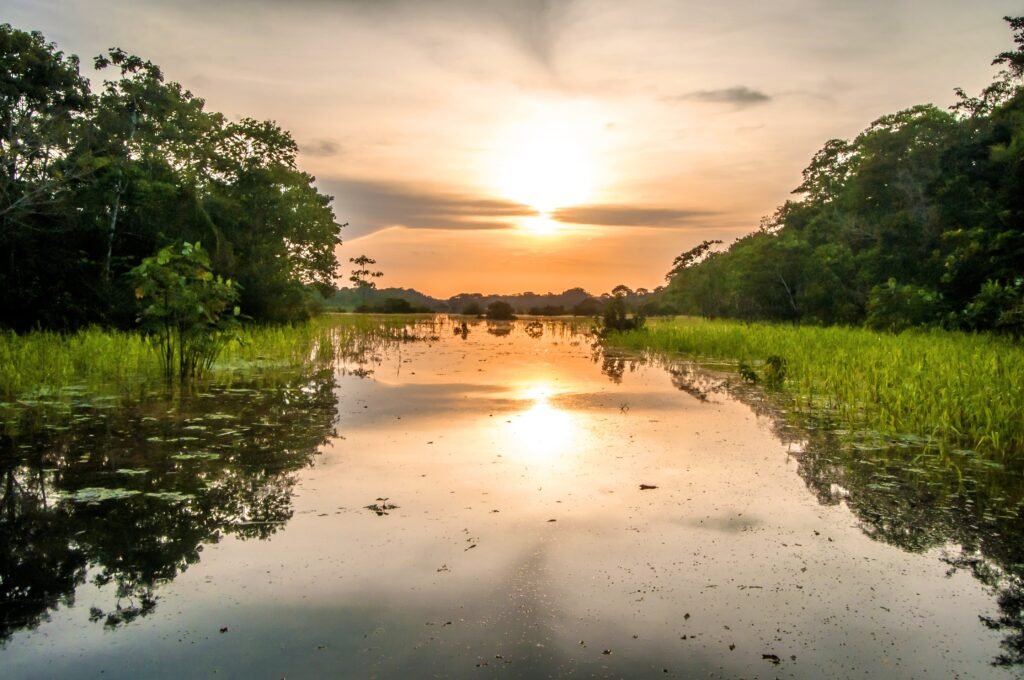 Isla De Los Micos Colombia Amazon