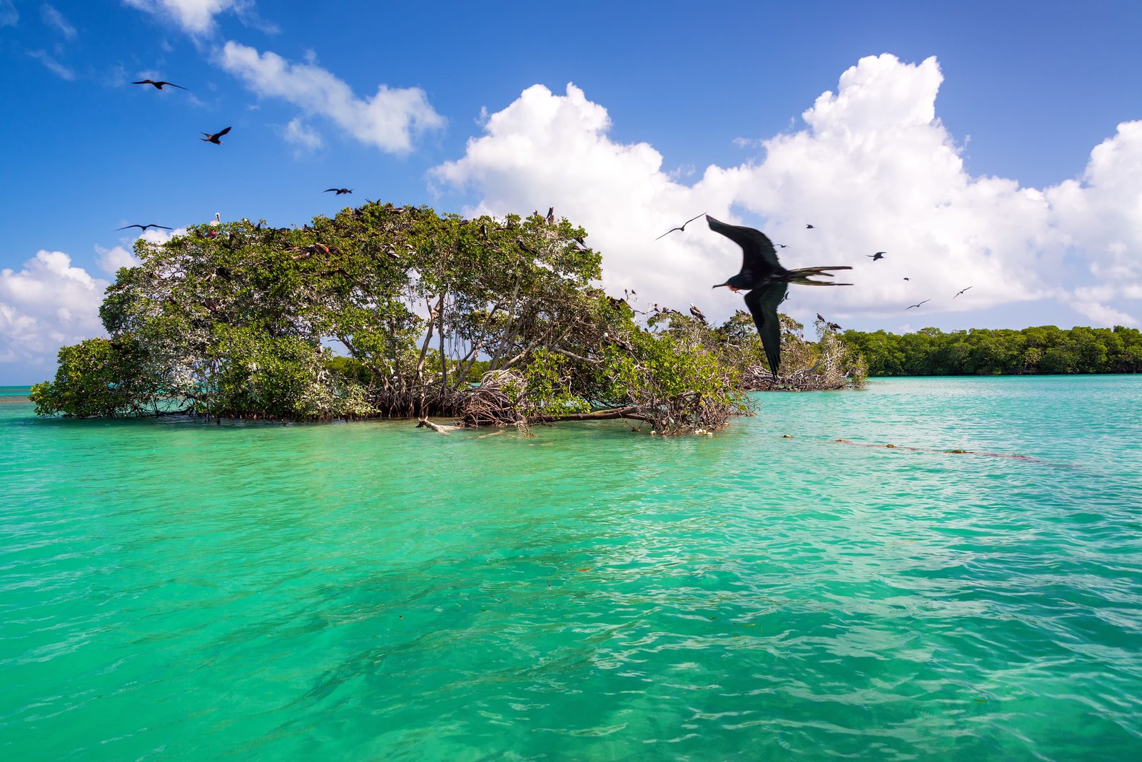 Sian Kaan Biosphere Reserve Tulum