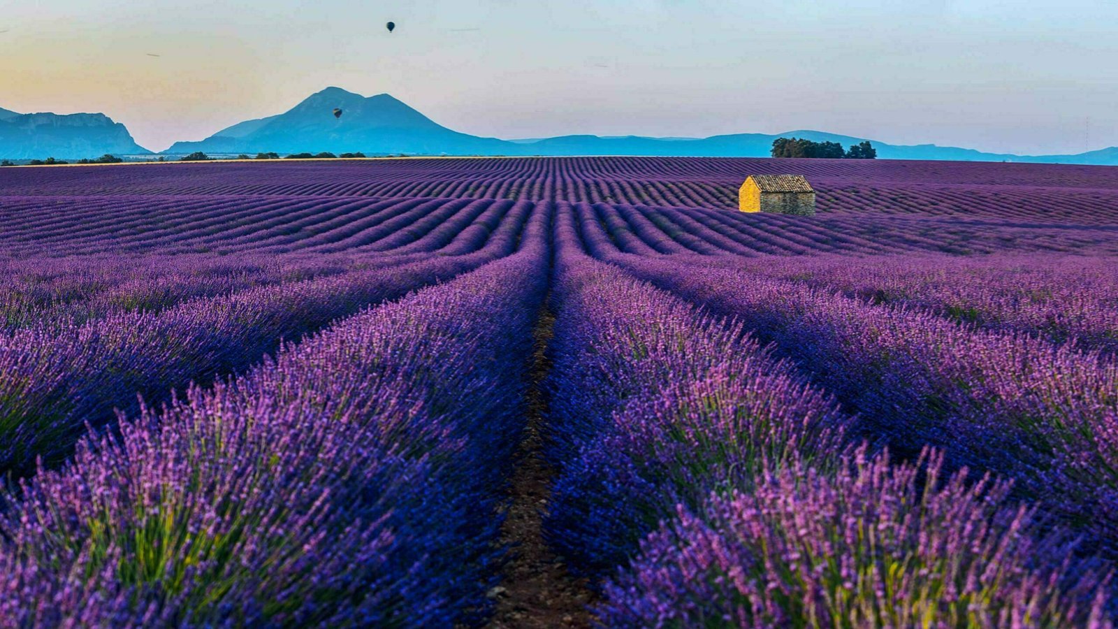 French Countryside